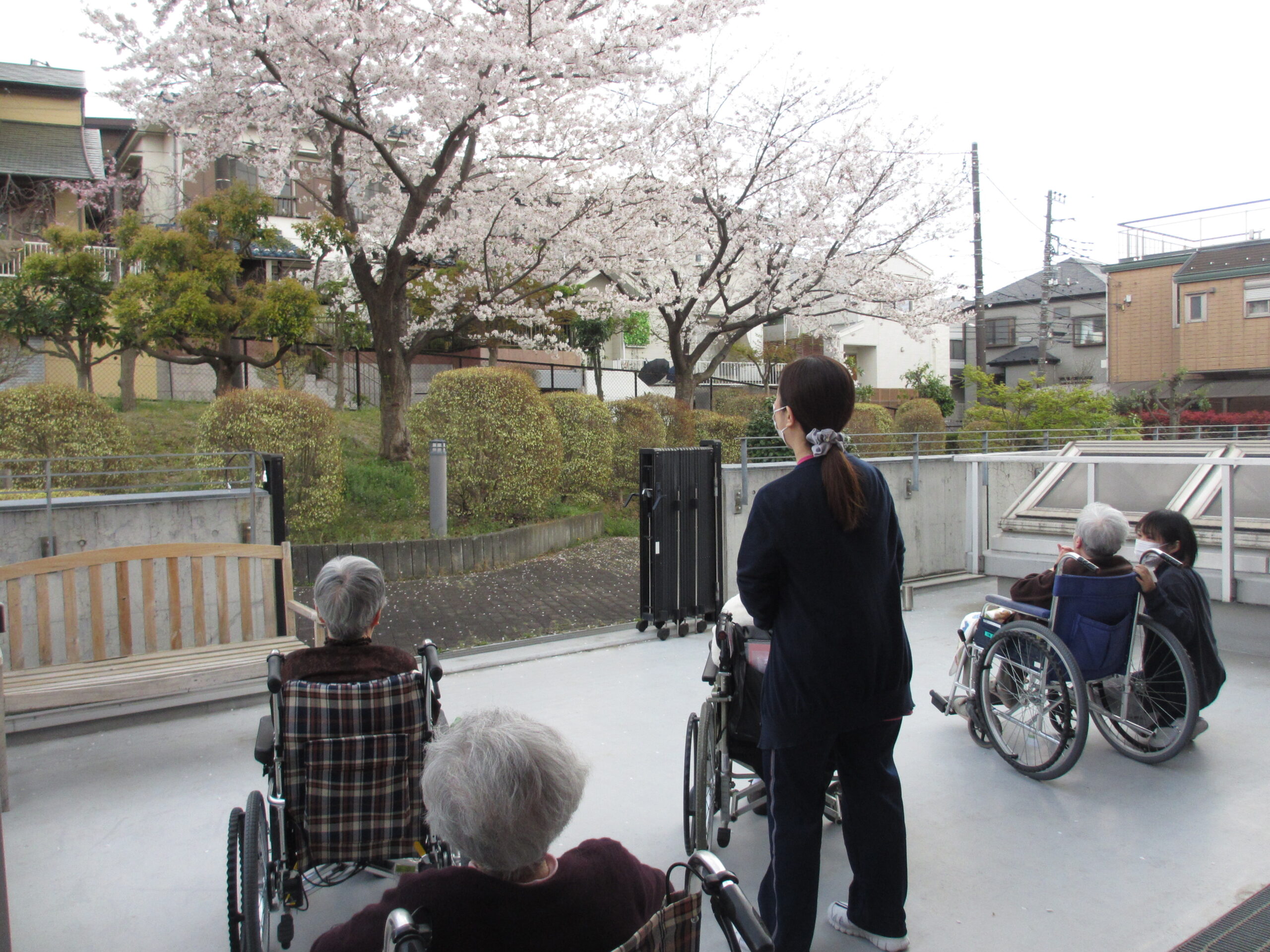 は～やく来い